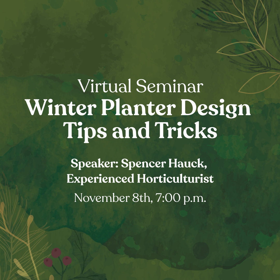 Winter planter design tips and tricks