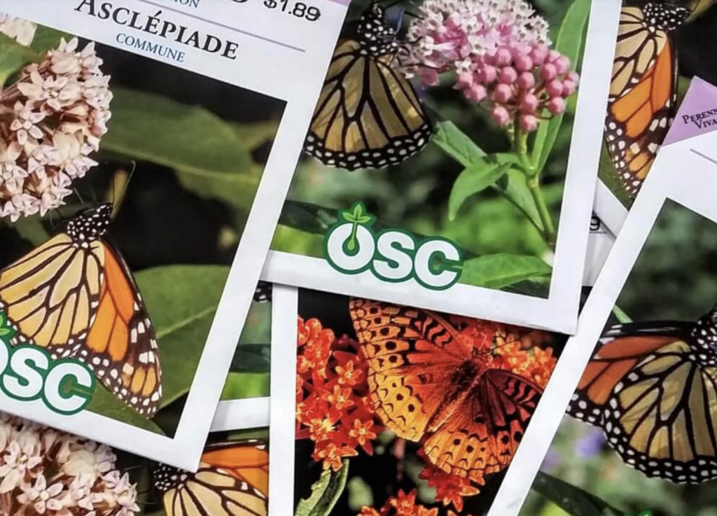 seed packets with the Ontario seed company logo on them