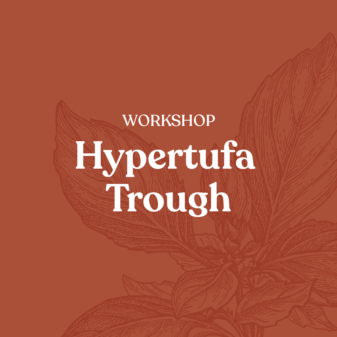 Workshop Hypertufa Trough