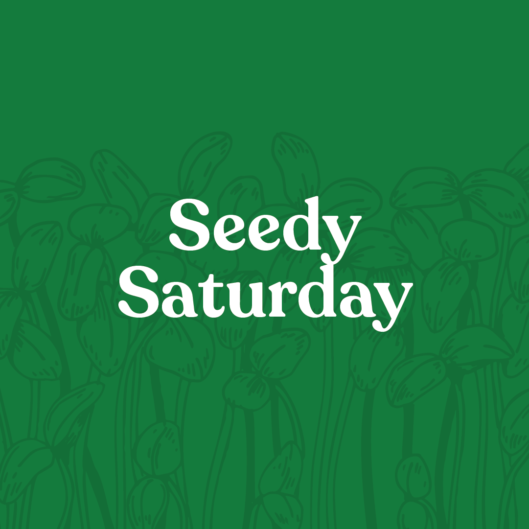 Seedy Saturday