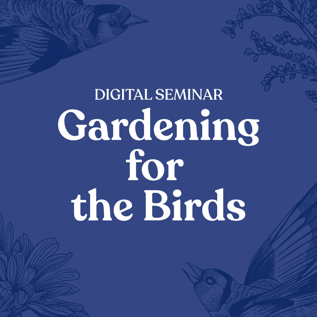 Gardening for the Birds