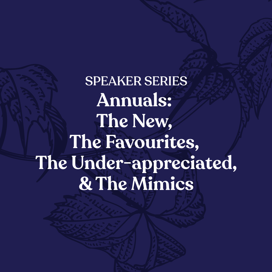 Annuals: the new, the favourites, the under-appreciated, and the mimics