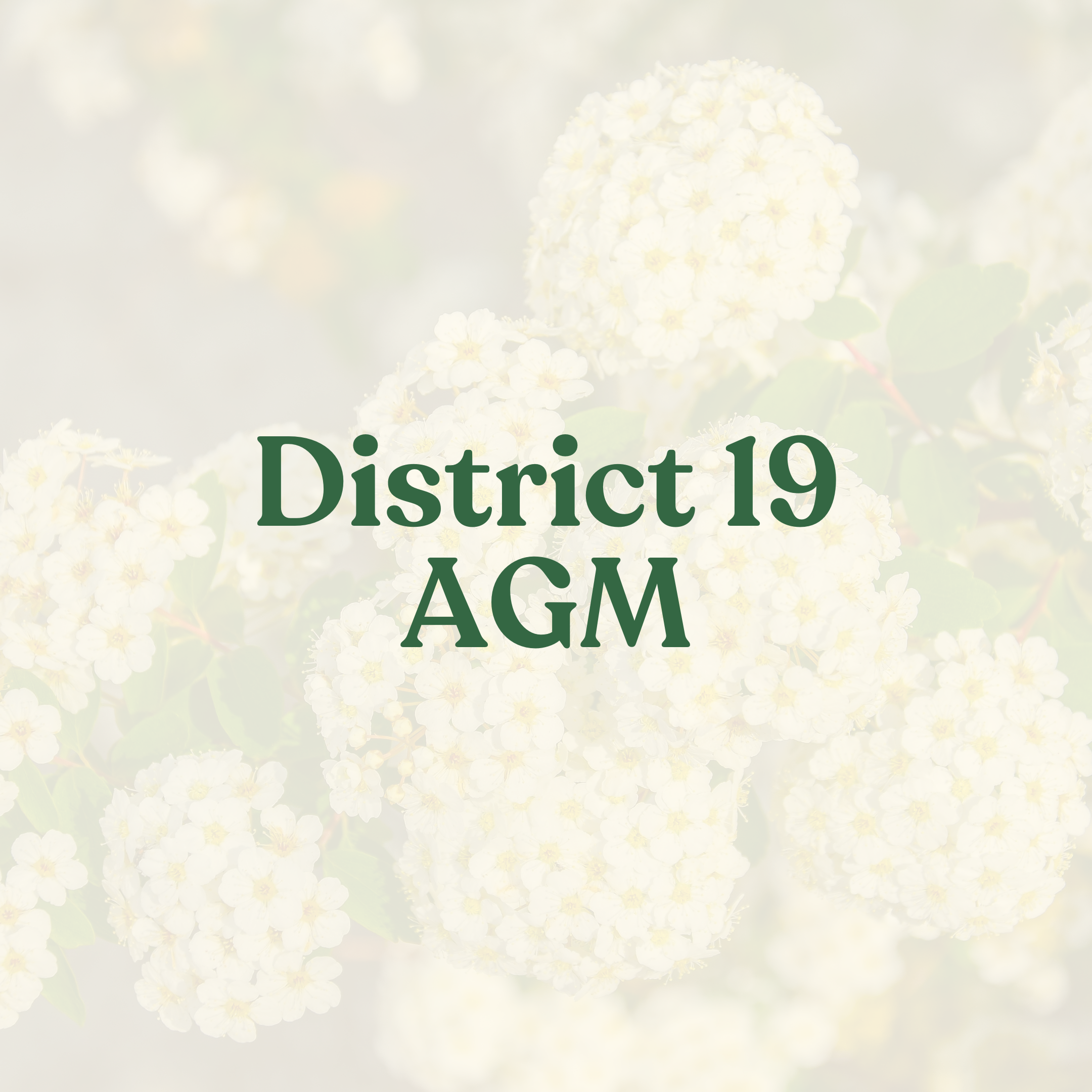 District 19 AGM