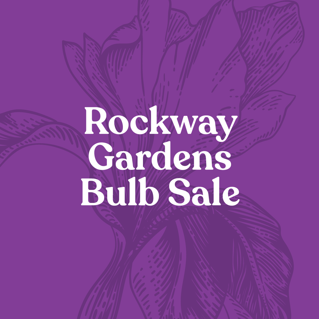 Rockway Gardens Bulb Sale