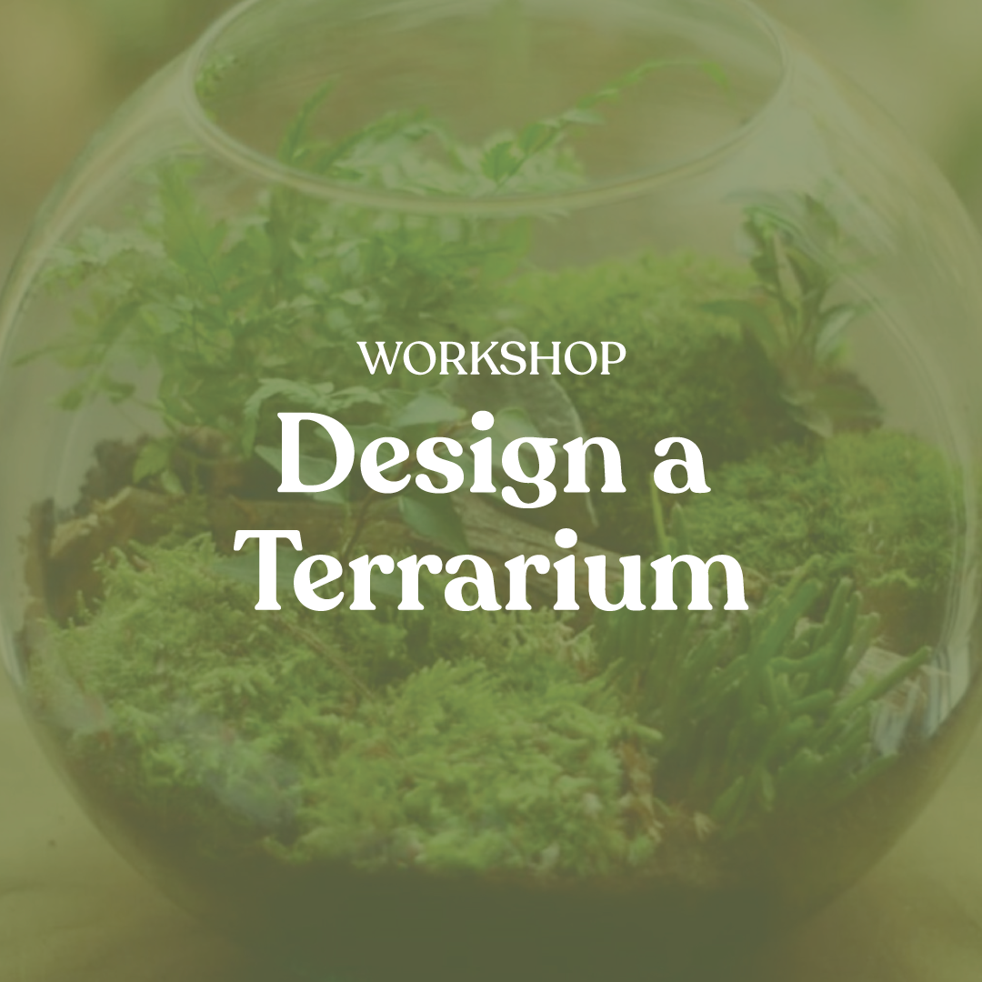 Workshop: Design a Terrarium