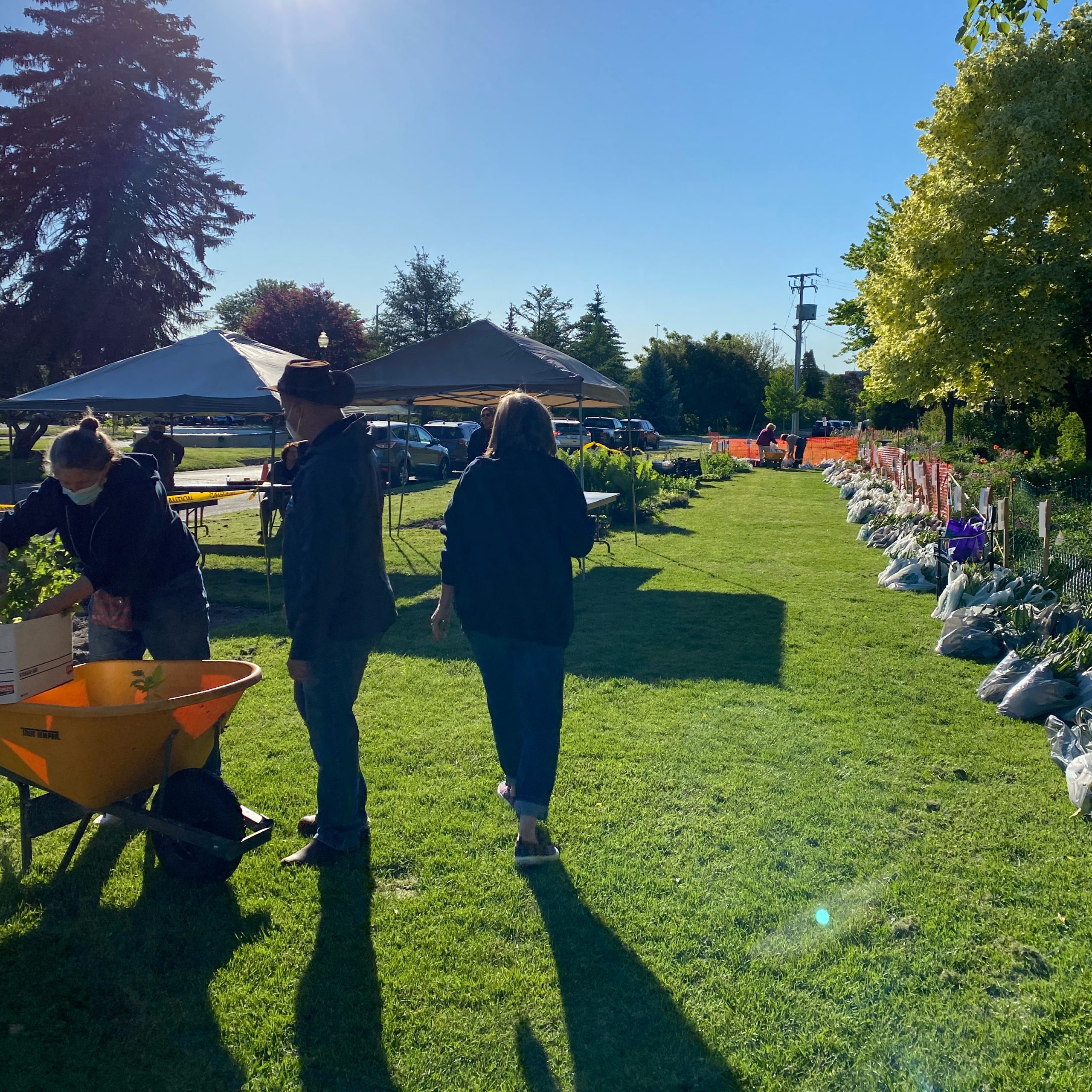 People standing in a grassy area of Rockway Gardens, setting up the bulb sale