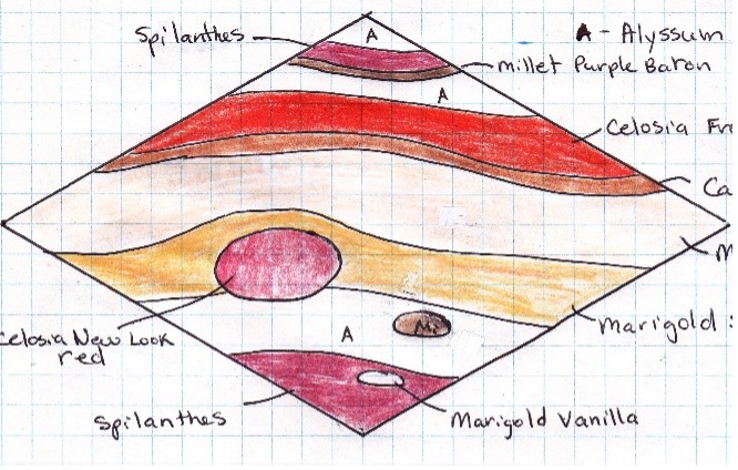 Karin's design for a Jupiter-themed planting.