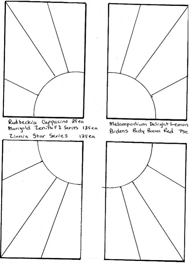 Karin's design for a stylized sun flower bed arrangement.