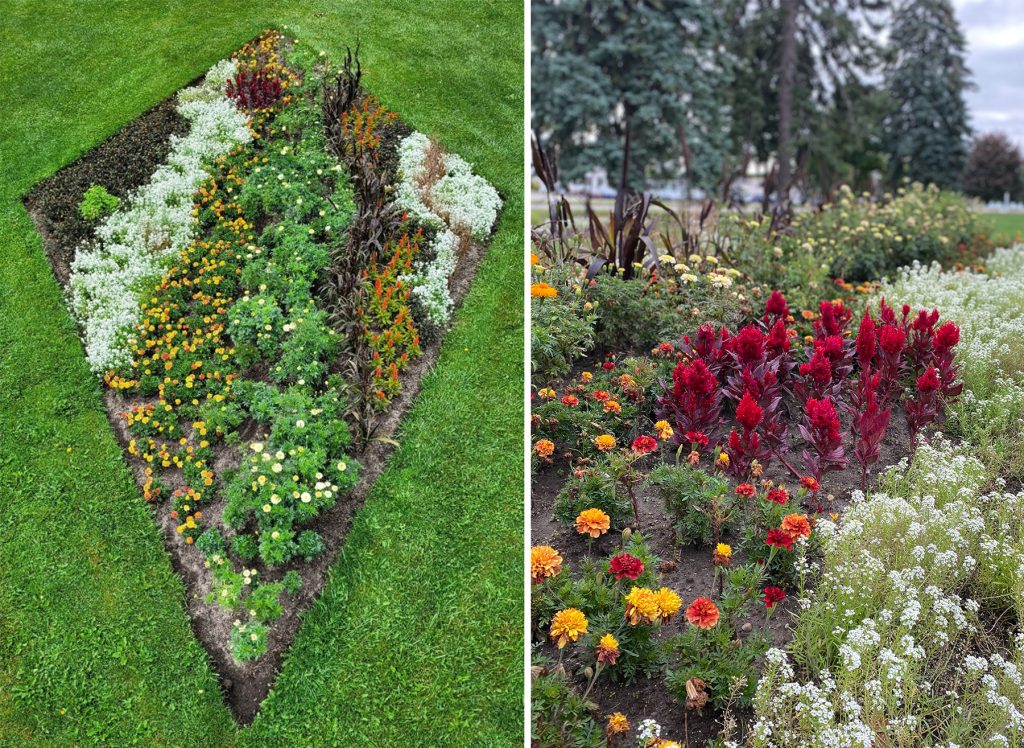 Image showing a garden planted to look like Jupiter's coloured bands