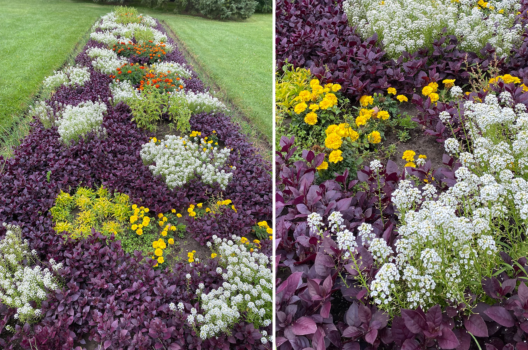 The planted, meteorite bed in Rockway Gardens.