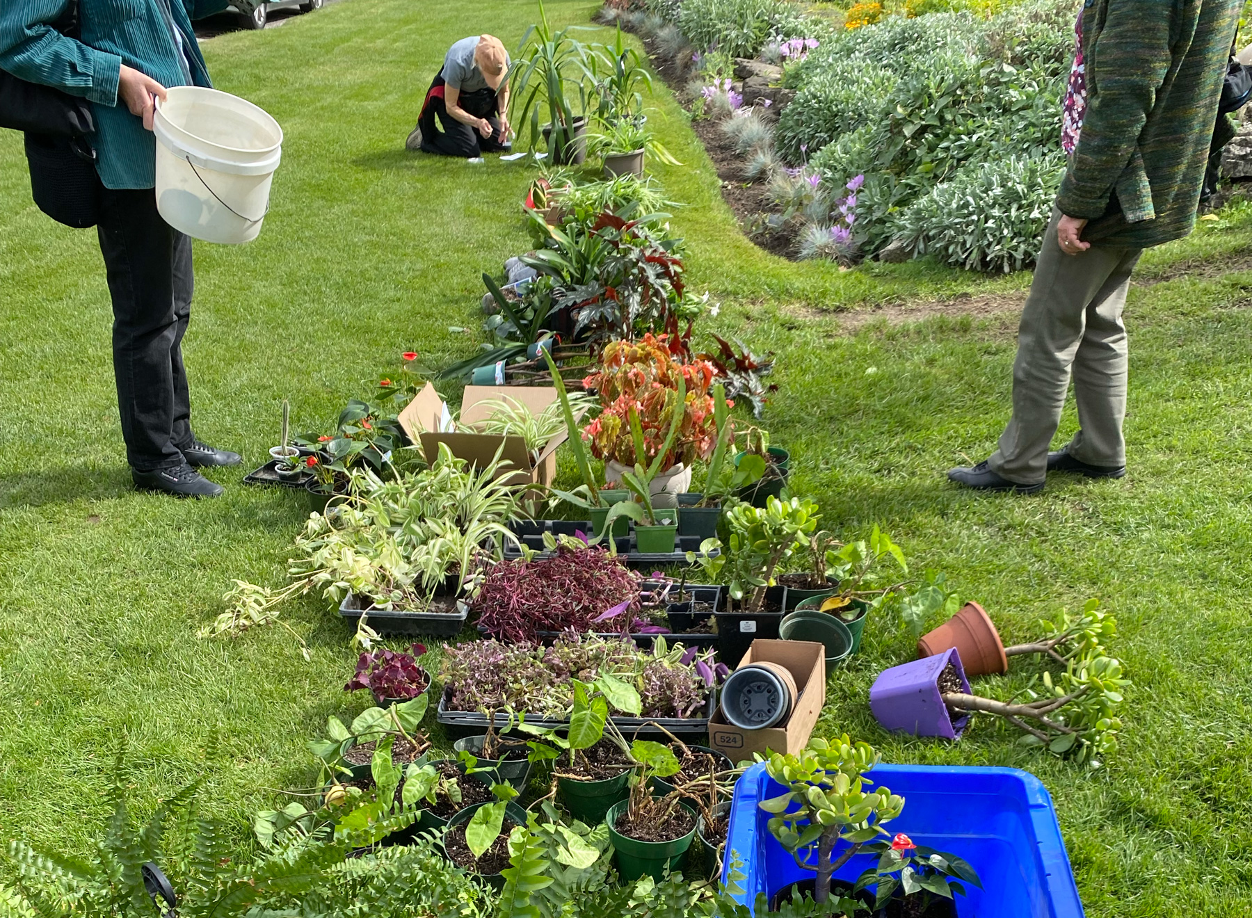 people swapping plants at the gardenKitchener plant swap in Rockway Gardens in Kitchener, Ontario.