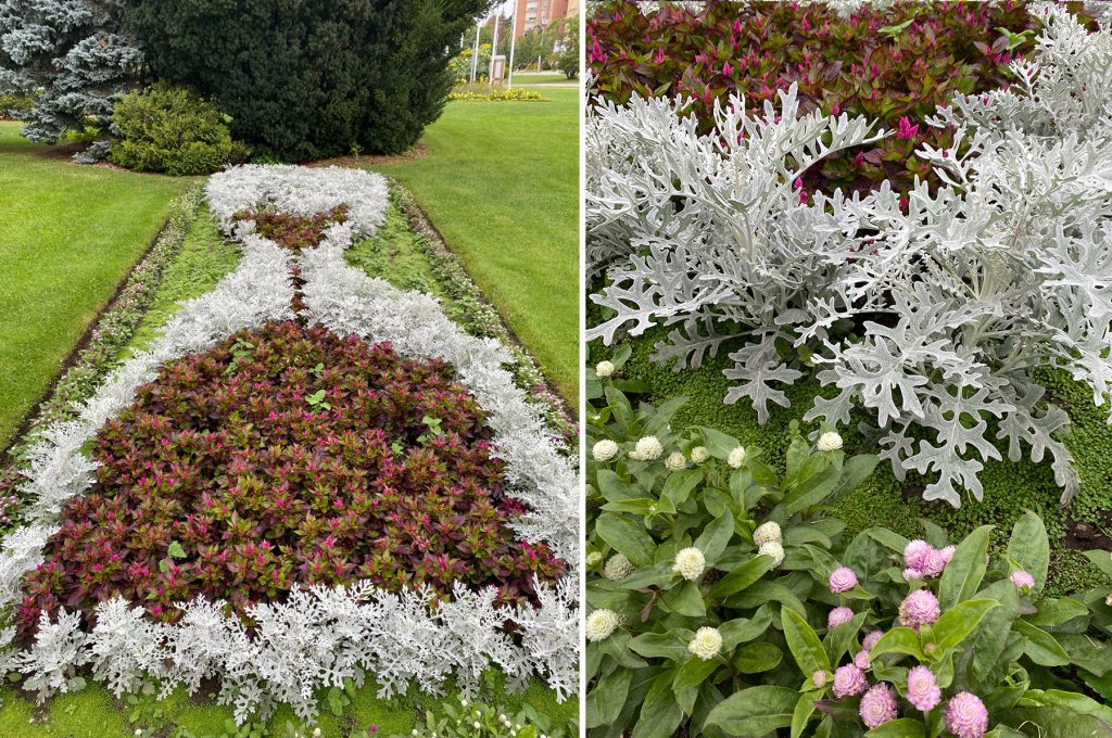 The time-themed flower bed at Rockway Gardens in Kitchener, Ontario.
