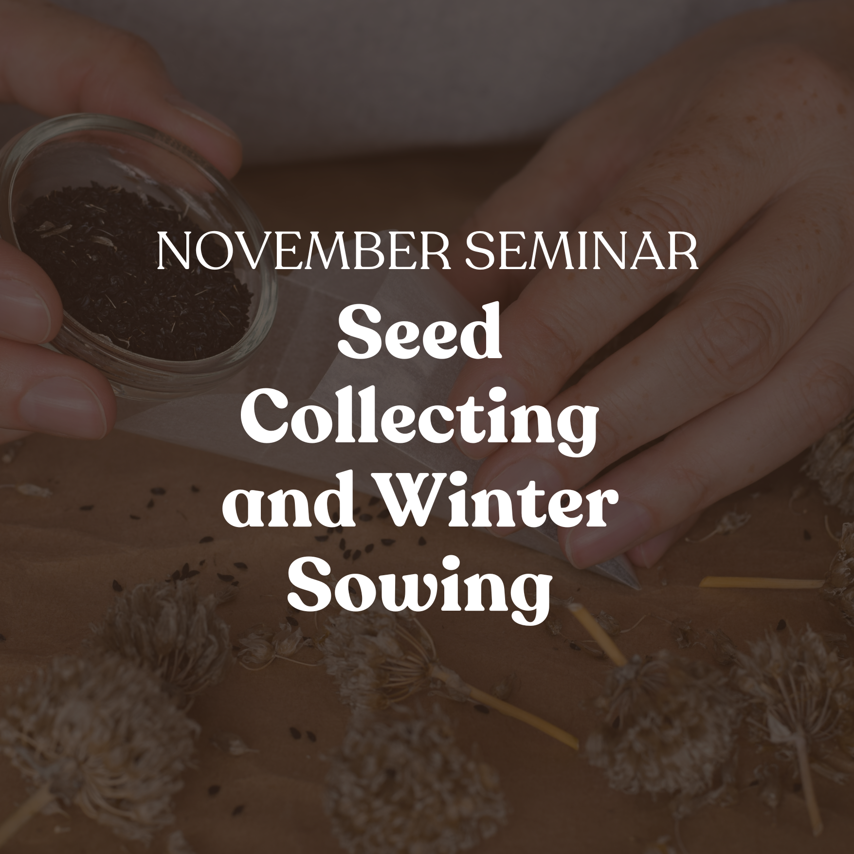 November GardenKitchener Seminar: Seed Collecting and Winter Sowing
