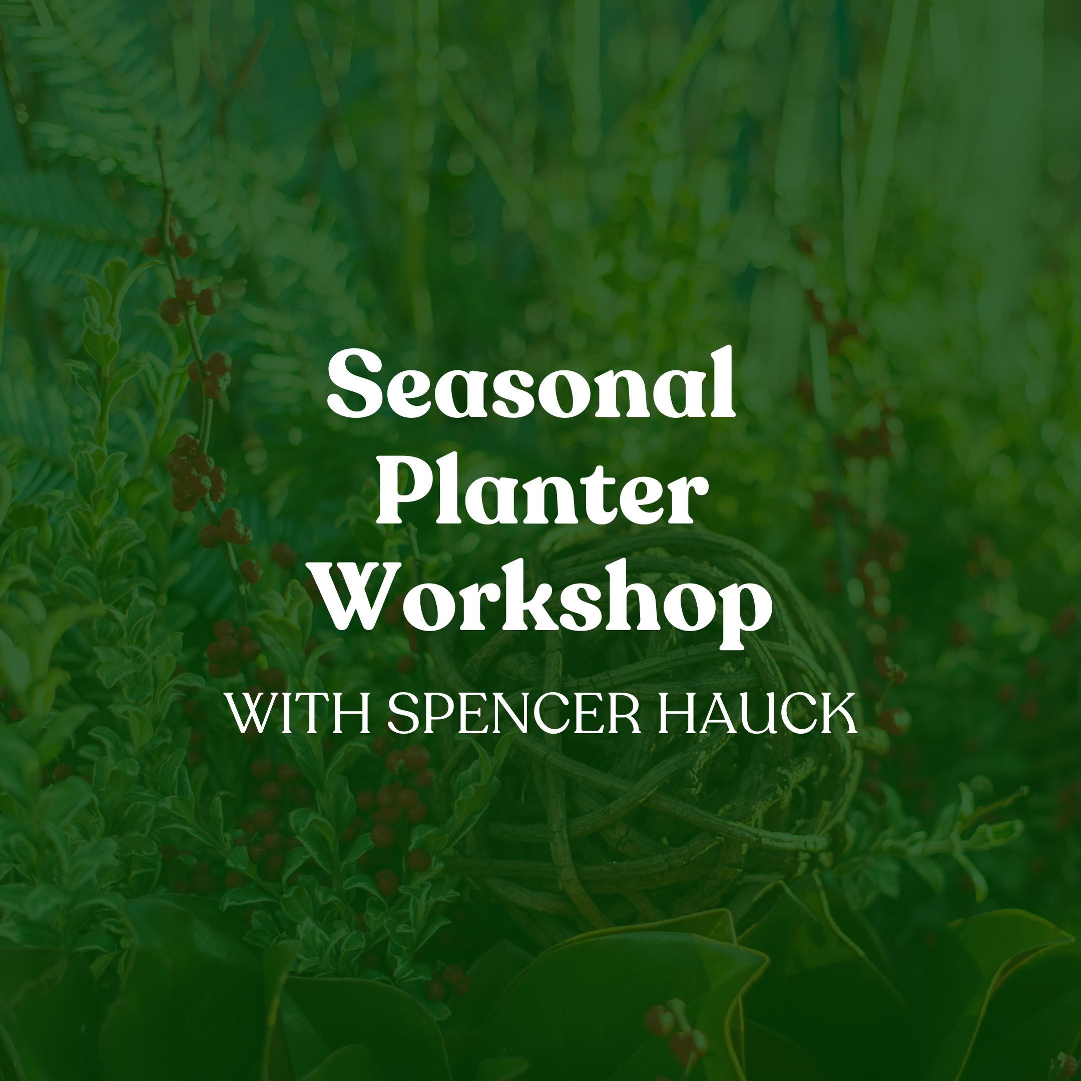 Seasonal Planter Workshop with Spencer Hauck in Kitchener, Ontario