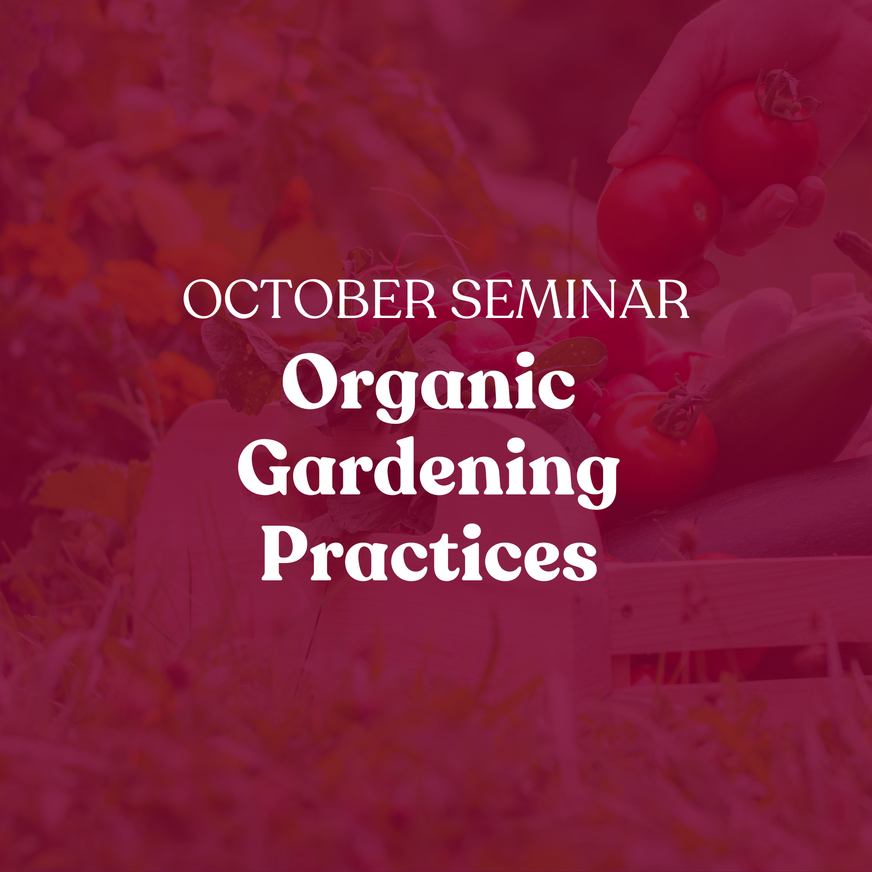 October Seminar about Organic Gardening Practices for gardenKitchener members