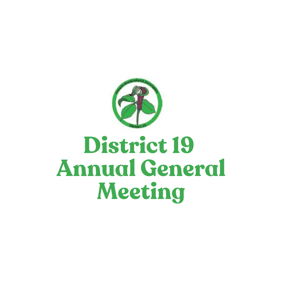 District 19 Annual General Meeting