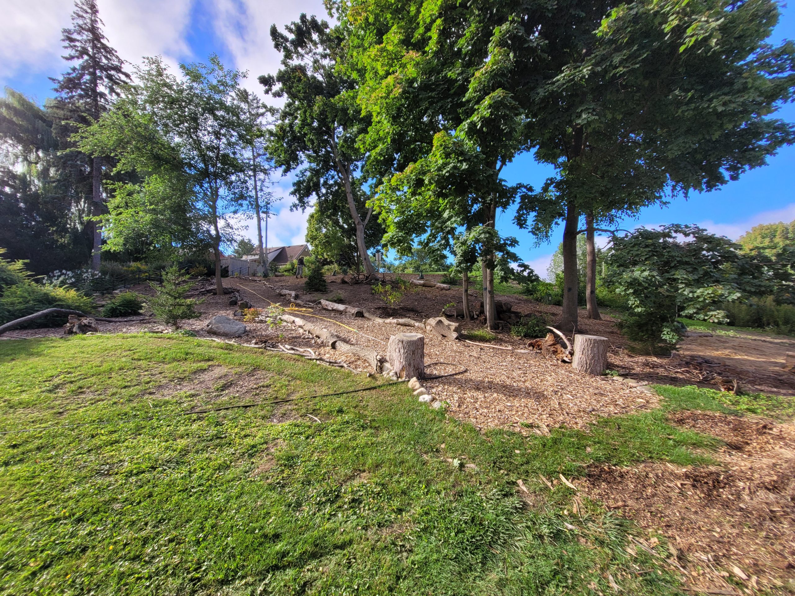 The Woodland Hillside section of Rockway Gardens in Kitchener, Ontario, in the spring.