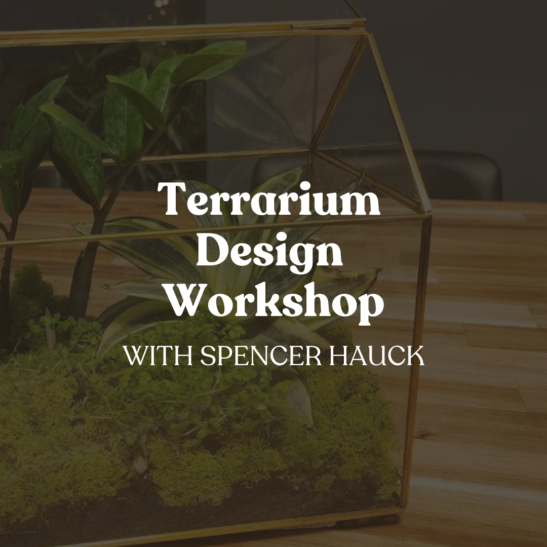 Terrarium Design Workshop with Spencer Hauk for GardenKitchener