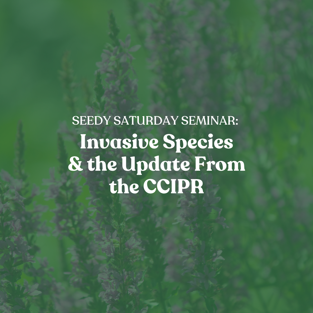 Invasive Species and the Update from the CCIPR