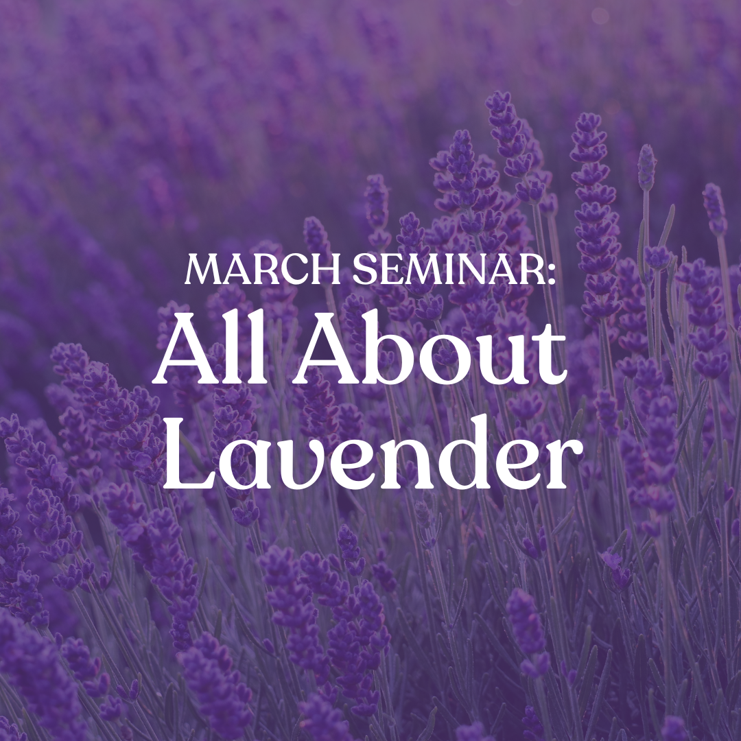 March Seminar: All About Lavender
