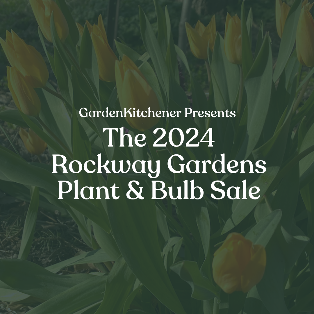 GardenKitchener presents the 2024 Rockway Gardens Plant & Bulb Sale