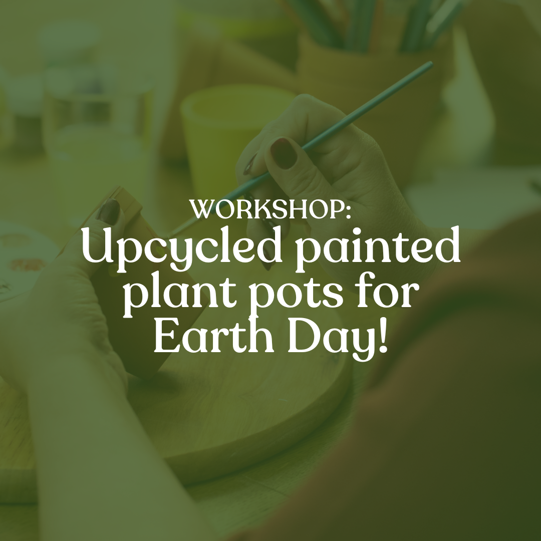 Upcycled painted plant pots for Earth Day