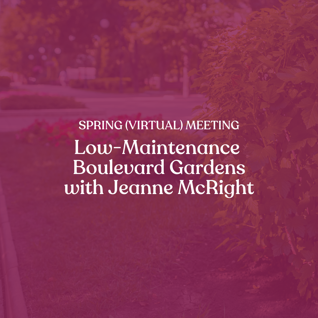 Spring virtual meeting: Low maintenance boulevard gardens with Jeanne McRight