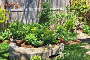 a spring garden along a fence