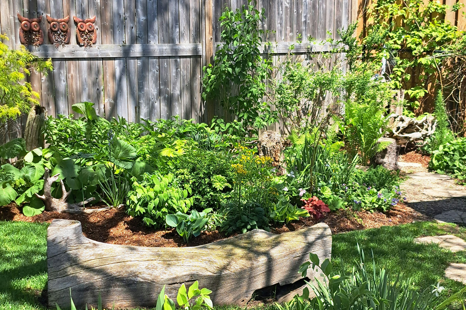 a spring garden along a fence