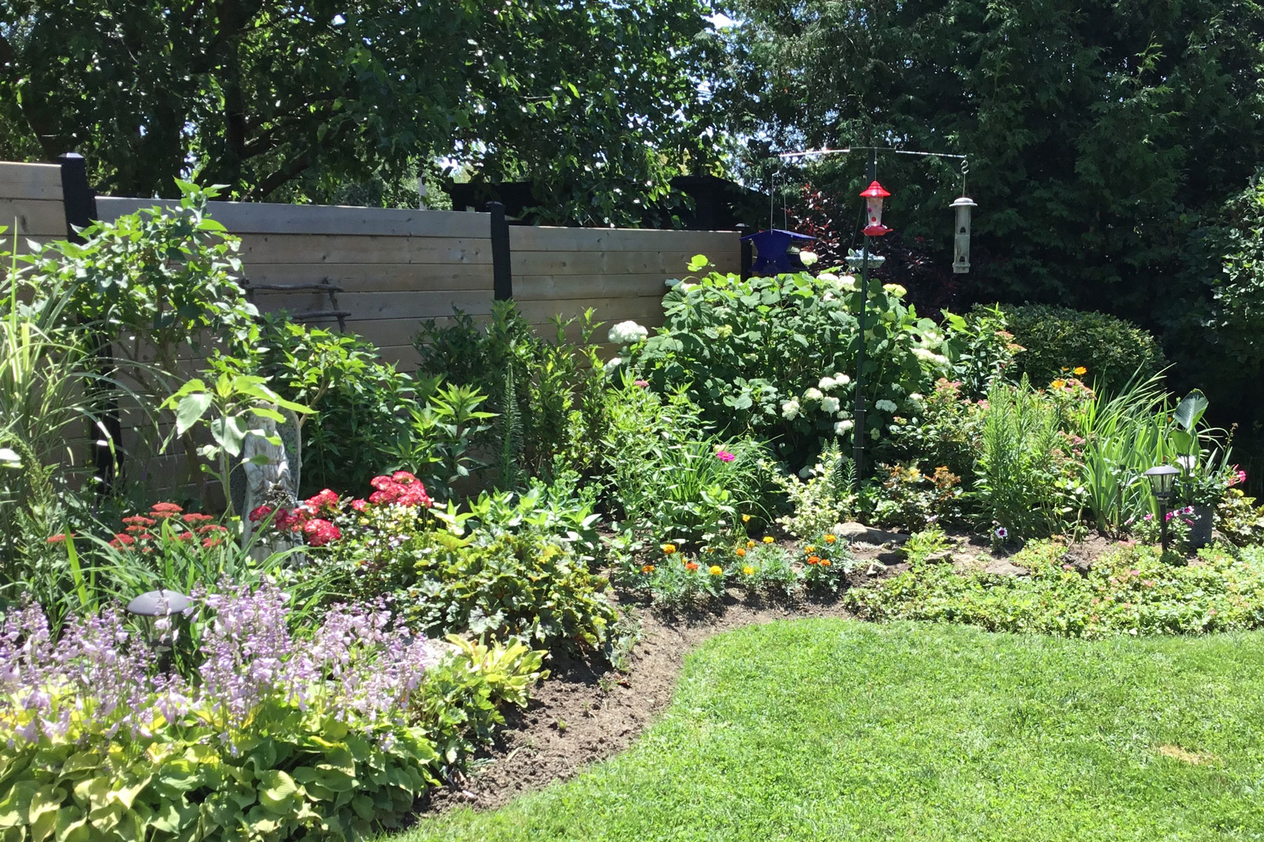 curved garden beds in bloom next to a fence