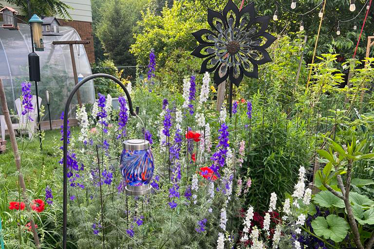 purple and white flowers