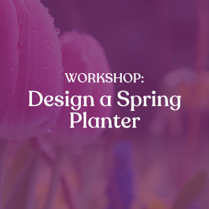 Design A Spring Planter