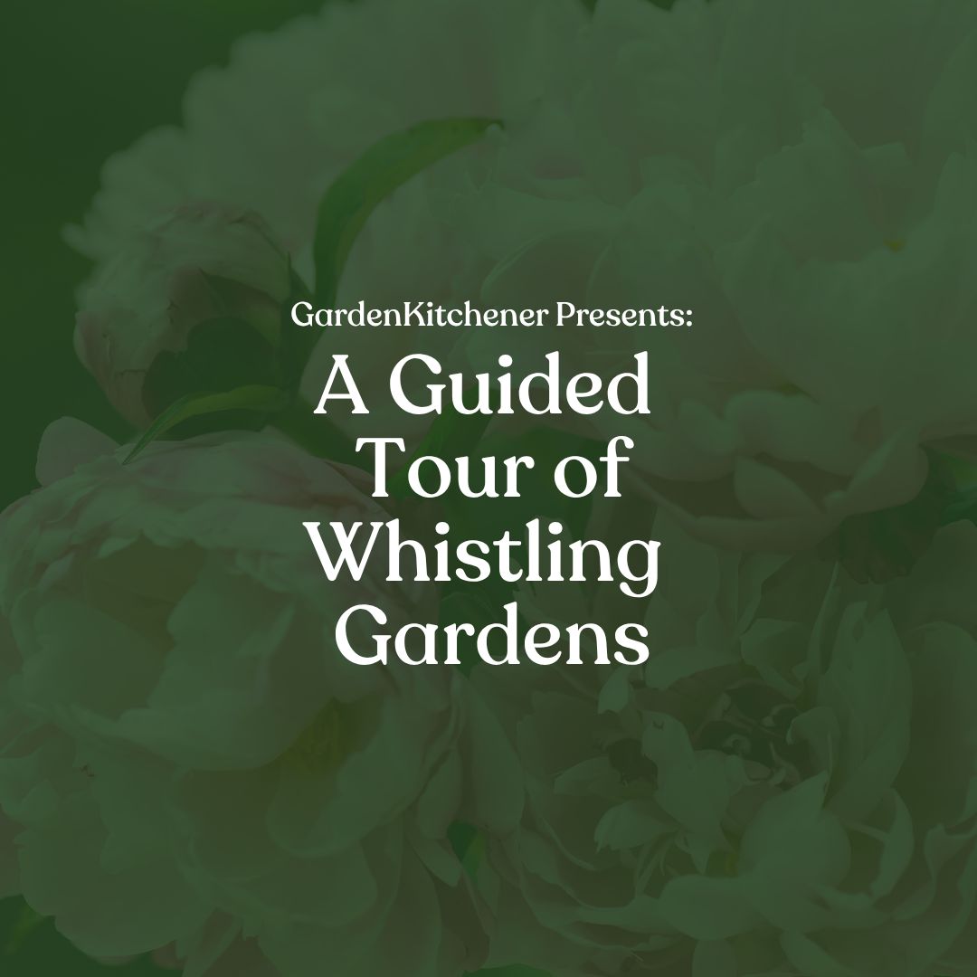 GardenKitchener presents a guided tour of whistling gardens
