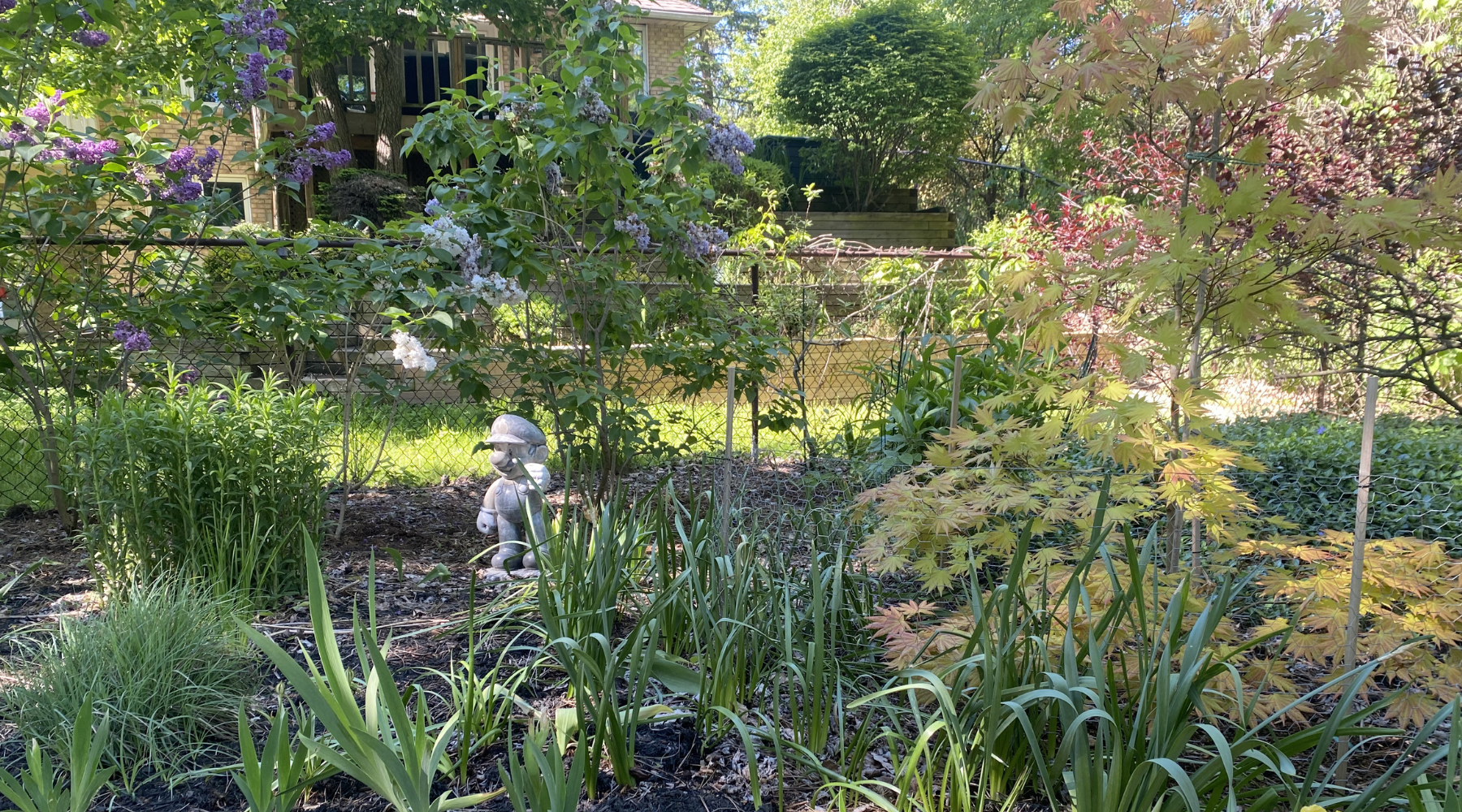 A backyard garden with a statue of Mario from Super Mario Bros. and Japanese maples.
